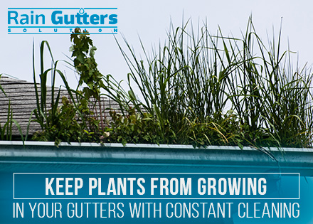 Weeds Before Rain Gutter Cleaning