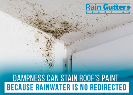 Dampness is Why Rain Gutters are Essential for Any Property