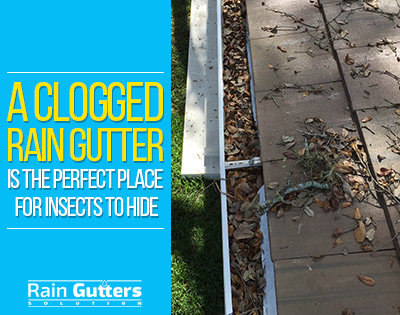 Importance of Have your Gutters Cleaned