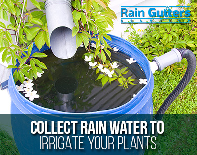 A Rain Gutters Repair Allows To Collect Rain Water