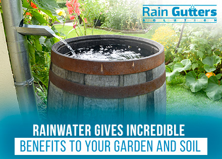 Gutter Barrel Rainwater Collection System in Garden