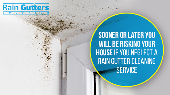 House Without a Rain Gutter Cleaning Service Dampness