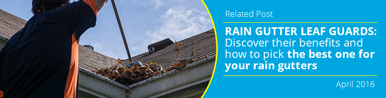 Rain Gutter Cleaning Related