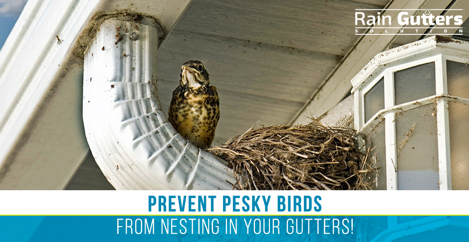 Rain Gutter Cleaning Nest