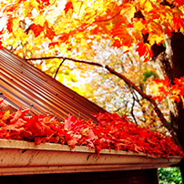 Rain Gutter Cleaning During the Fall 