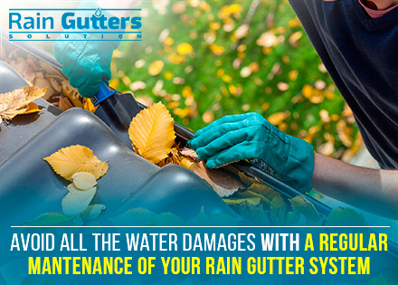 Rain Gutters Solutions Always Commits to Make the Best Rain Gutter Installation Man Cleaning the Rain Gutter Installation