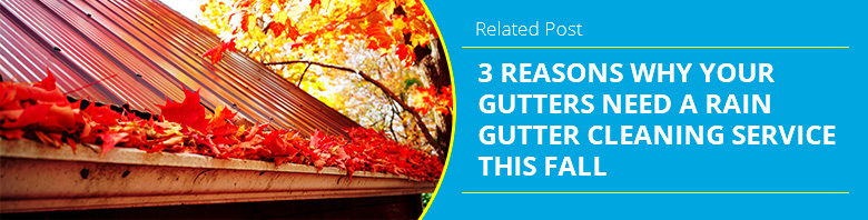 Rain Gutter Cleaning During Fall