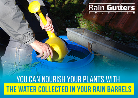 How Do Rain Barrels Work Gardening with Rain Water Collected