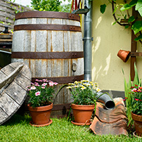 How Do Rain Barrels Work Garden with Water Collection System