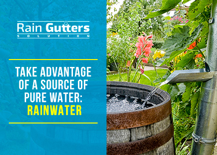 Rain Gutters Installation with Rain Barrel Garden