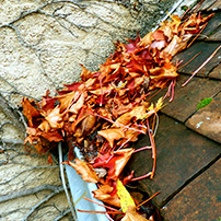 Leaves Clogging a Custom Rain Gutter