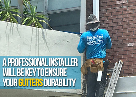 Gutter Installers on a Ladder