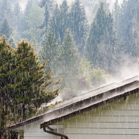 Heavy Rain on a House