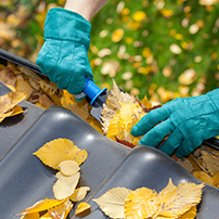Professional Cleaning Gutters
