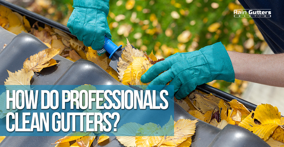 Professional Hands Cleaning Gutters