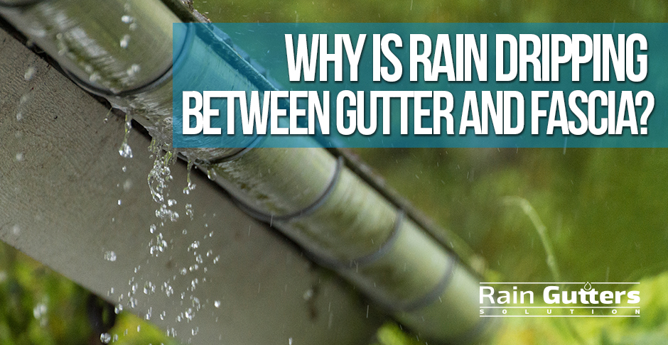 Rain Gutter Dripping Between Gutter and Fascia