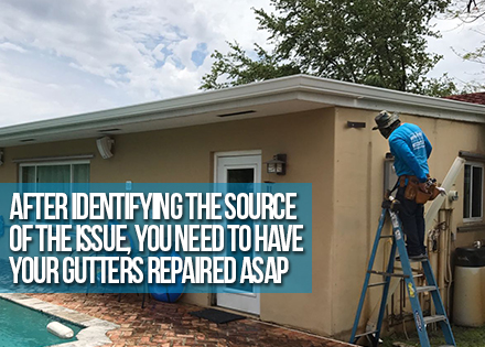 Gutter Expert Repairing a Clogged Rain Gutter