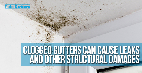 Leaking Ceiling Due To Rain | Shelly Lighting