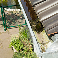 Rain Gutter Full of Water