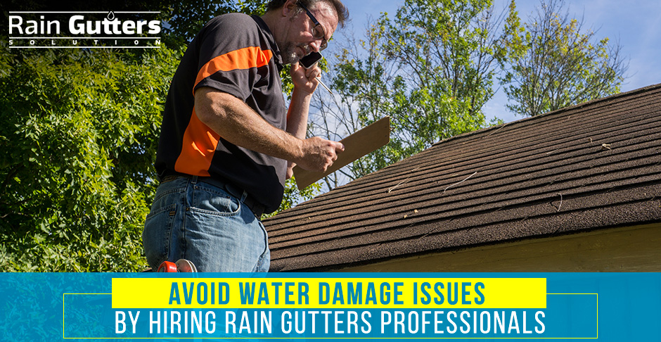 Custom Rain Gutter Professional on a Ladder