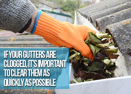 Hand Cleaning Rain Gutter