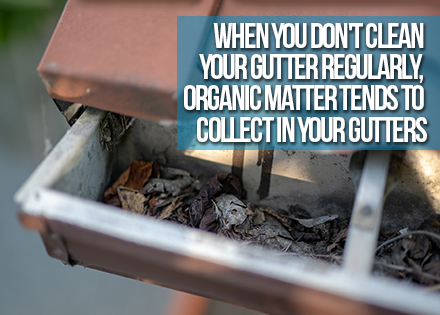 Rain Gutter Clogged with Leaves