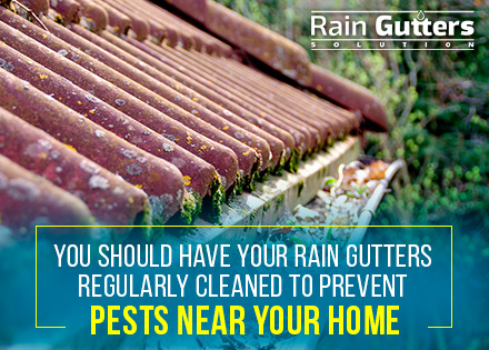 Dirty Roof Tiles Requiring a Custom Rain Gutter Cleaning