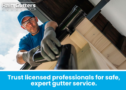 Professional Gutter Repair
