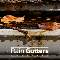 The Critical Link Between Clean Gutters and Hurricane Damage Prevention