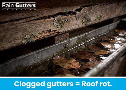 Structural Dangers of Clogged Gutters