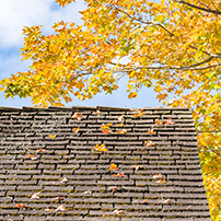 Rain Gutter Installation Clogged 