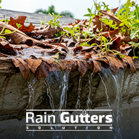 Rain Gutters Needs to be Cleaning in Florida