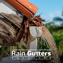 Protecting Fascia Boards and Rooflines from Tropical Moisture Intrusion
