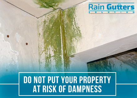 Rain Gutter Installation House With Dampness and Water Damage