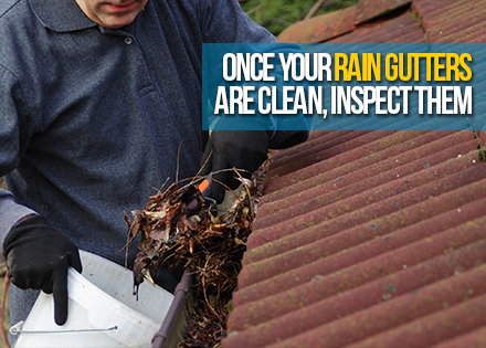 Man Cleaning a Rain Gutter