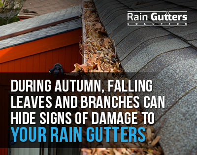 Rain Gutters Installation