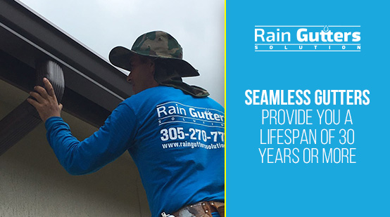 Seamless Gutter Installation with Rain Gutters Solution Worker